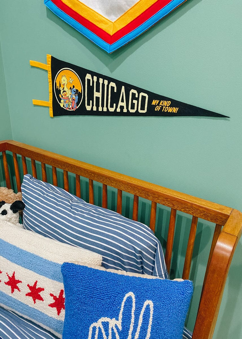 My Kind Of Town Pennant - Sesame Street x Oxford Pennant