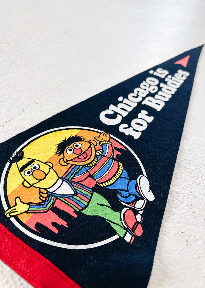 Chicago Buddies Pennant - Sesame Street x Oxford Pennant