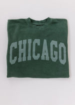 Chicago Collegiate Puff Sweatshirt - Alpine