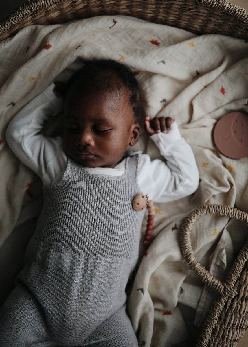 Organic Cotton Muslin Swaddle Blanket - Dinosaurs