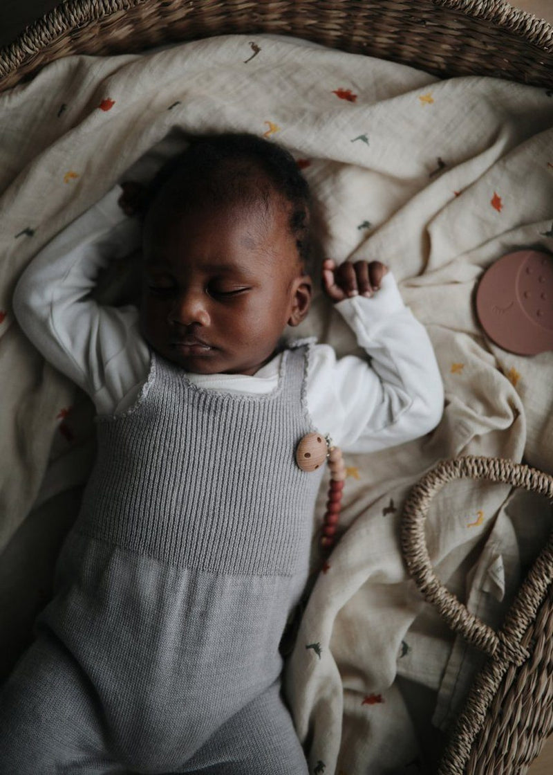 Organic Cotton Muslin Swaddle Blanket - Dinosaurs